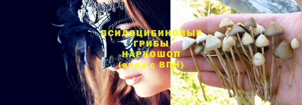 гашик Волосово