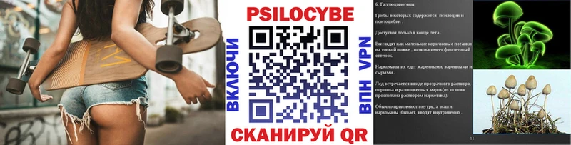 площадка наркотические препараты  мега как зайти  Галлюциногенные грибы Psilocybine cubensis  Вольск  купить наркотики цена 